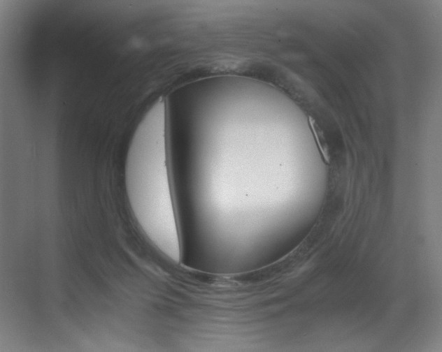 X0000073470215200607281107