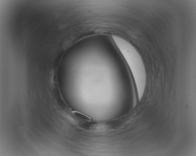 X0000073470219200607281107