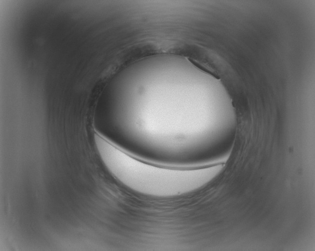 X0000073470221200607281107