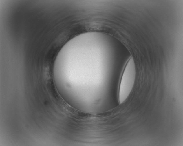 X0000073470224200607281107