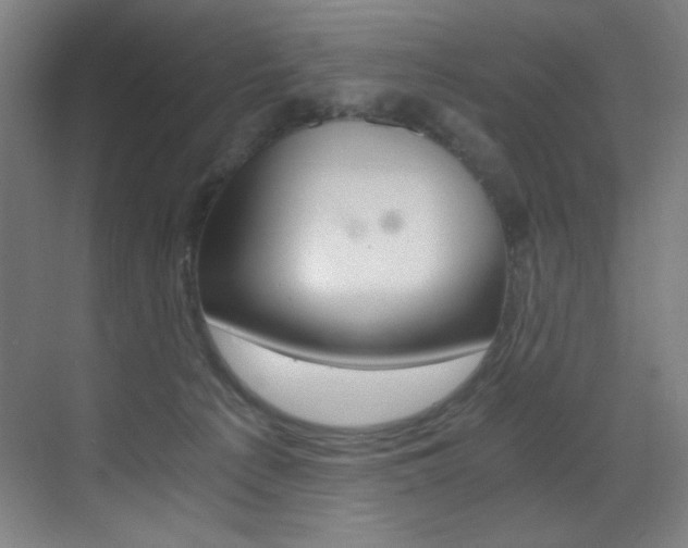 X0000073470225200607281107