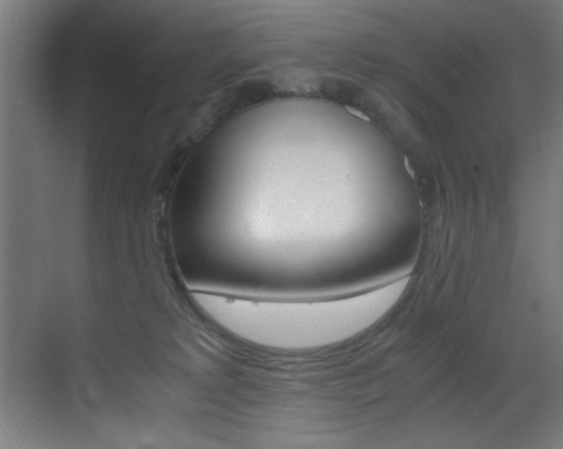 X0000073470229200607281107