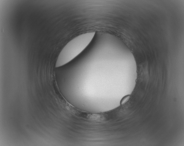 X0000073470230200607281107