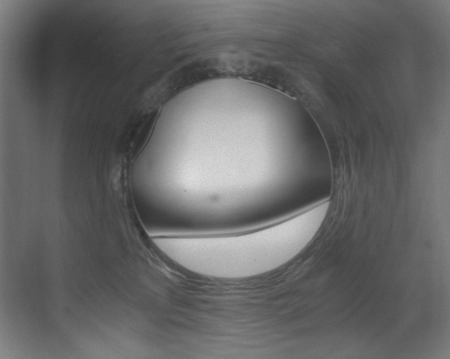X0000073470233200607281107