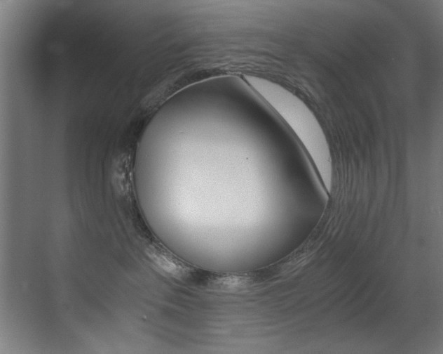 X0000073470237200607281107