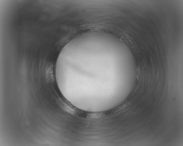 X0000073470238200607281107