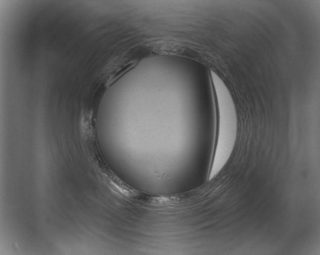 X0000073470239200607281107