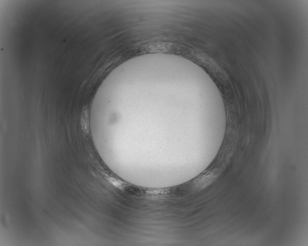 X0000073470240200607281107
