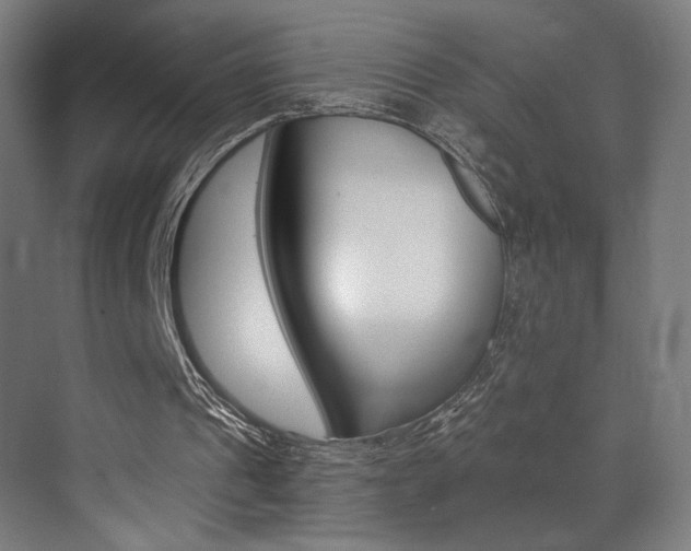X0000073470241200607281106