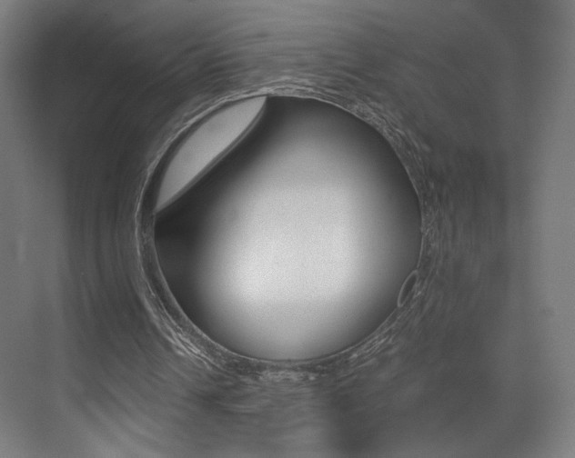 X0000073470242200607281106