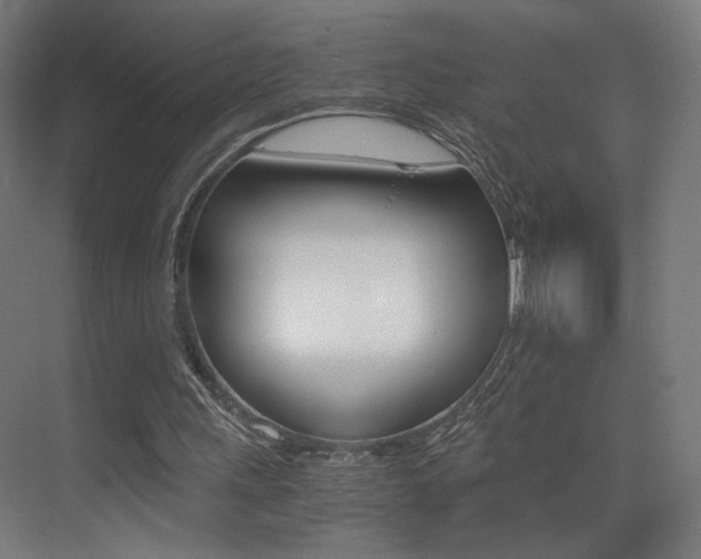 X0000073470243200607281106