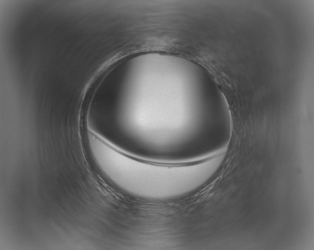 X0000073470244200607281106
