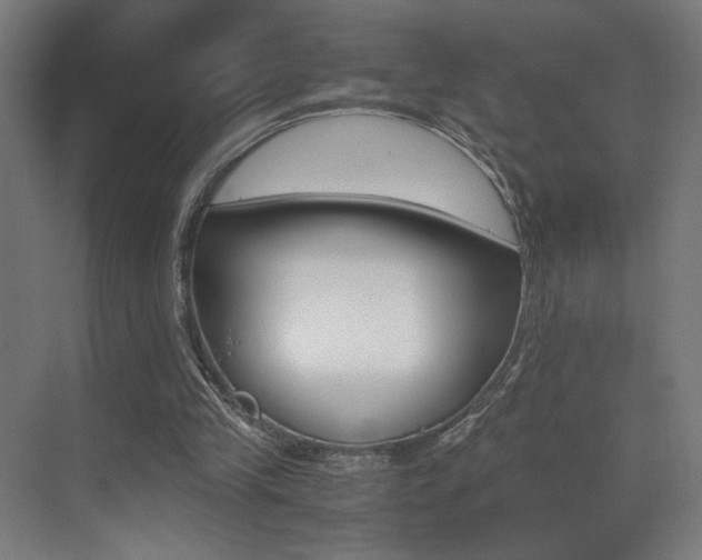X0000073470245200607281106
