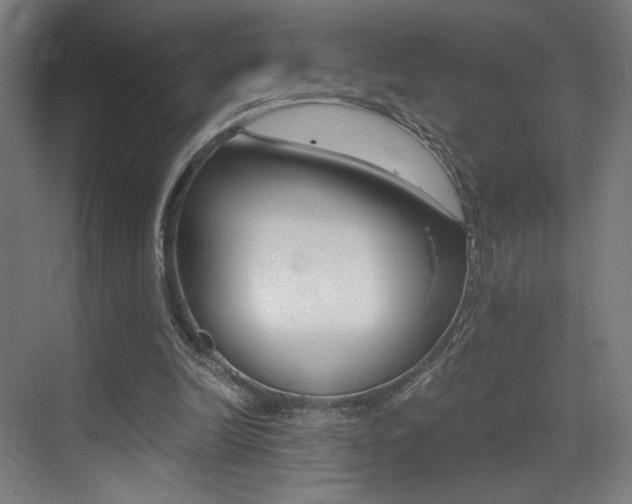 X0000073470246200607281106