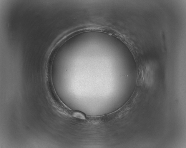X0000073470247200607281106