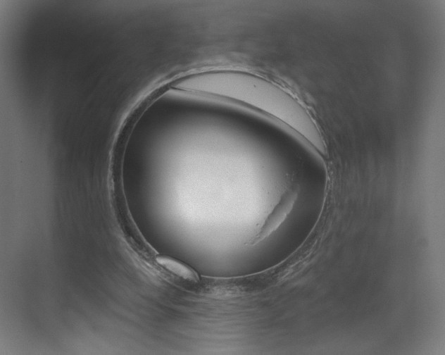 X0000073470248200607281106