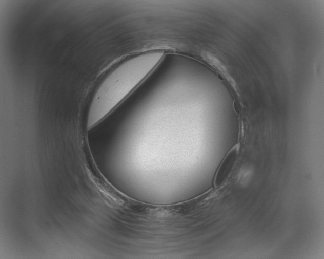 X0000073470249200607281106