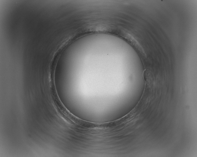 X0000073470251200607281106