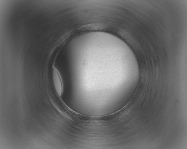 X0000073470254200607281106