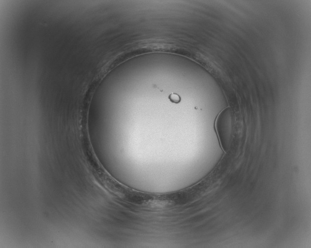 X0000073470255200607281106