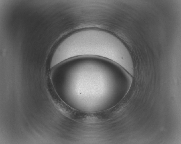 X0000073470256200607281106