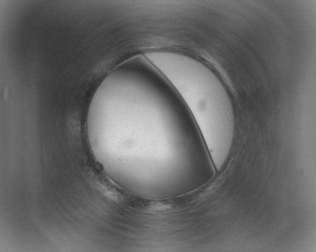 X0000073470257200607281106