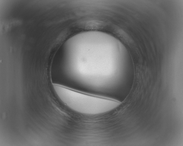 X0000073470258200607281106