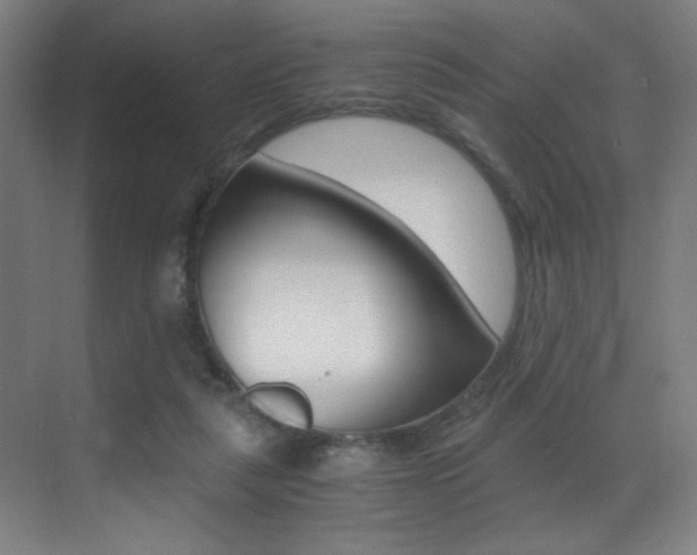 X0000073470259200607281106