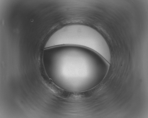 X0000073470260200607281106