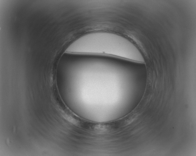 X0000073470261200607281106