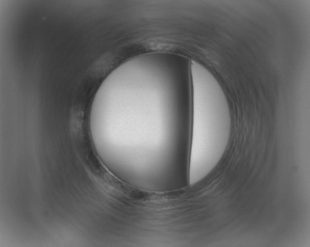 X0000073470263200607281106