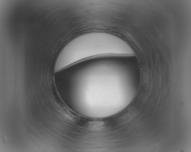X0000073470266200607281106