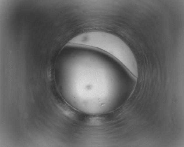 X0000073470268200607281106