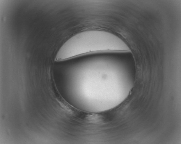 X0000073470269200607281106