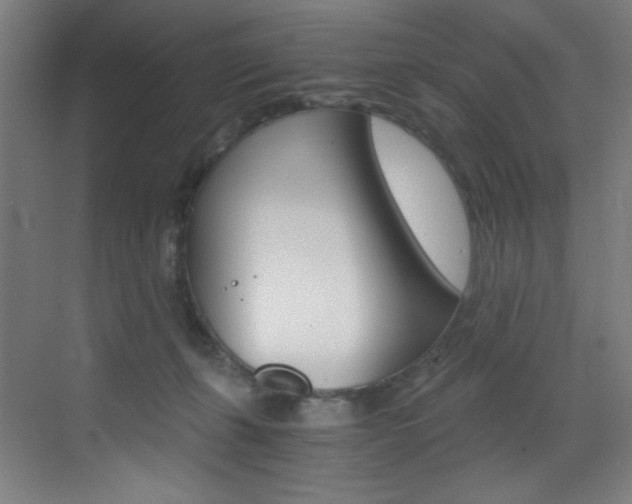 X0000073470271200607281106