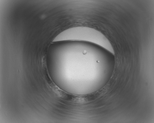 X0000073470276200607281106