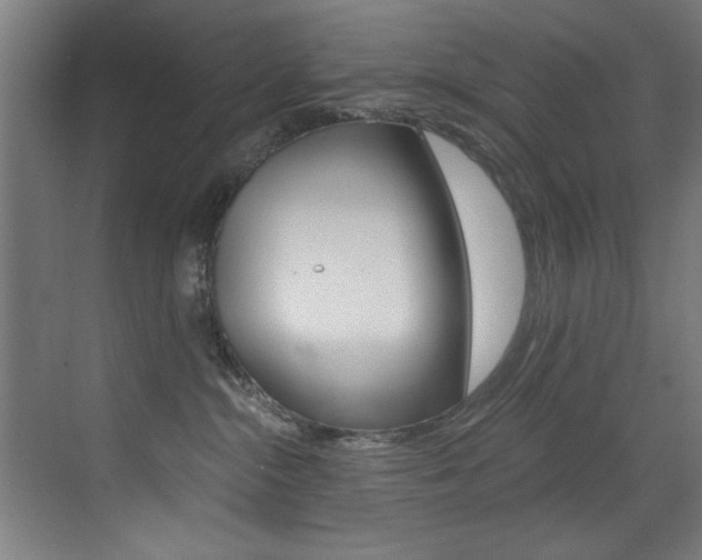 X0000073470284200607281107