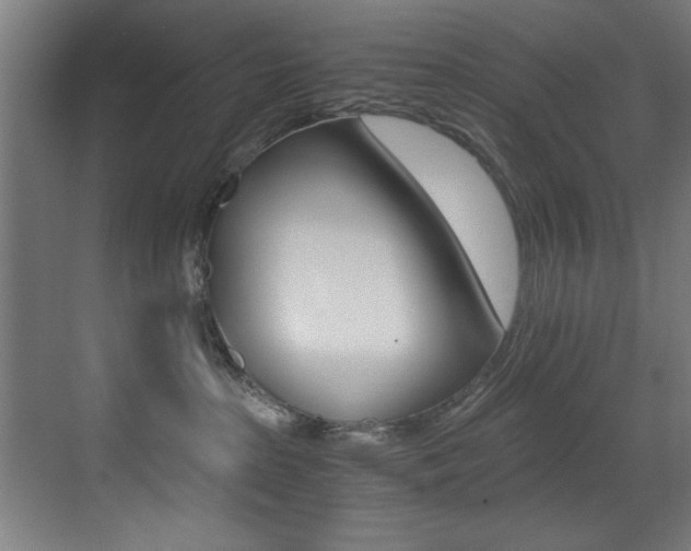 X0000073470285200607281107