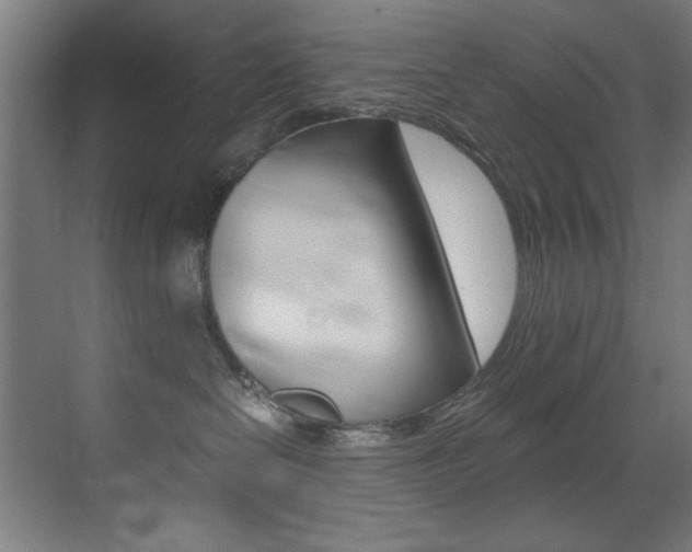X0000073470286200607281107