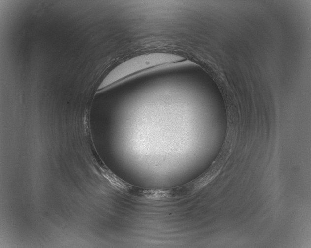 X0000073470288200607281107