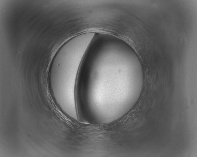 X0000073470289200607281106