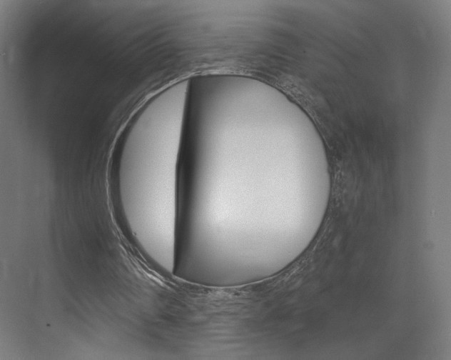 X0000073470290200607281106