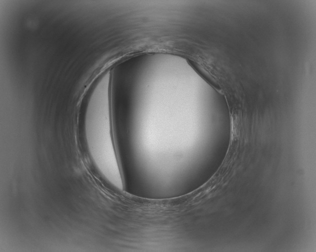 X0000073470291200607281106