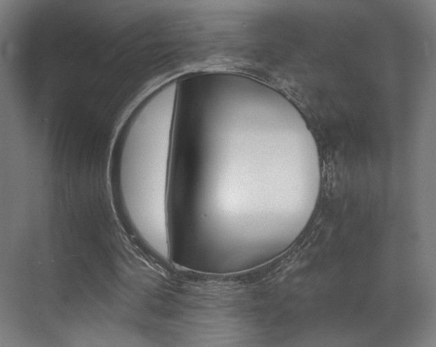 X0000073470292200607281106