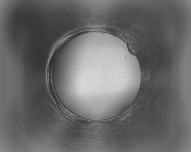 X0000073470294200607281106