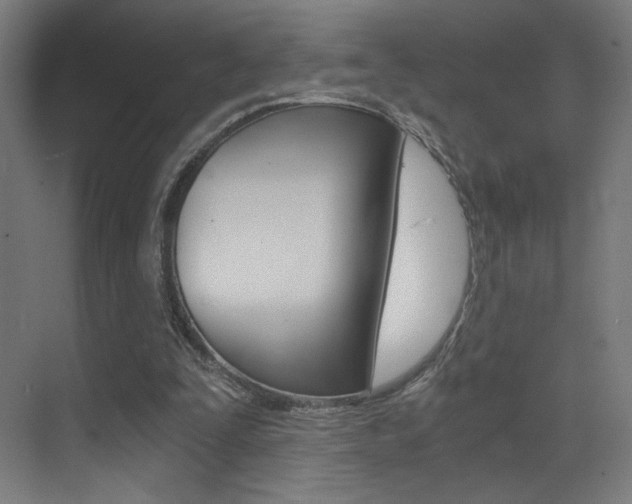 X0000073470295200607281106