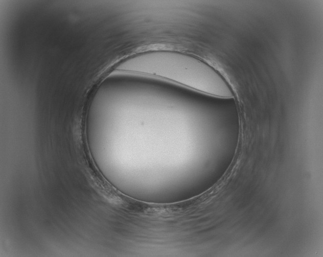 X0000073470297200607281106