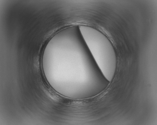 X0000073470298200607281106
