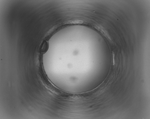 X0000073470300200607281106