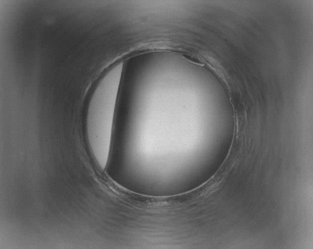 X0000073470301200607281106